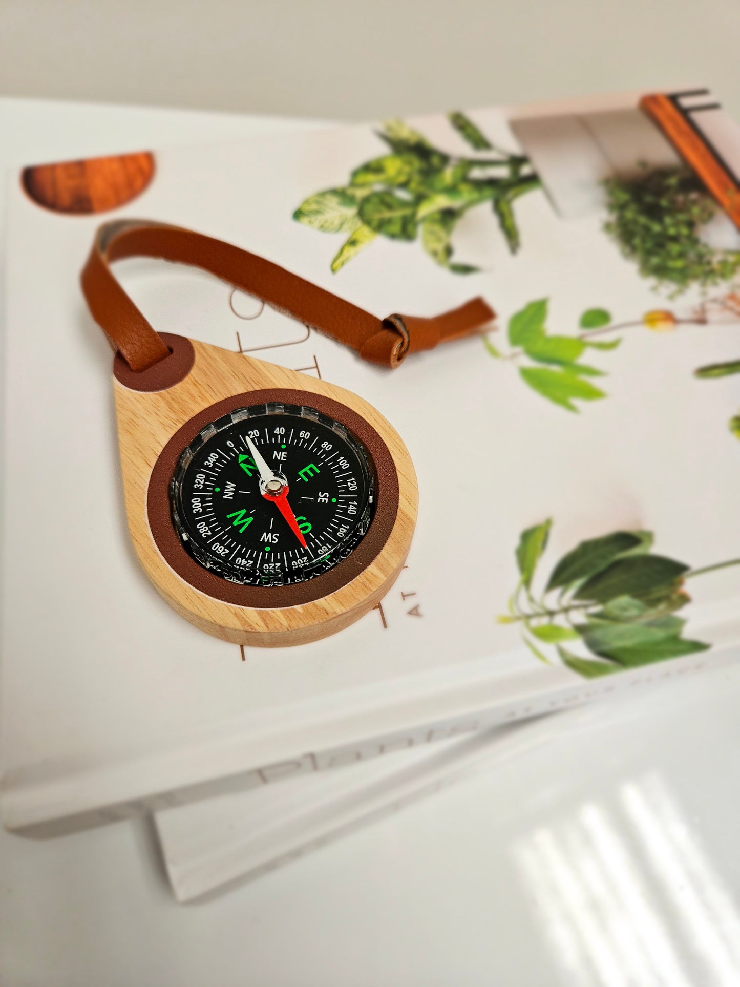 Wooden Compass