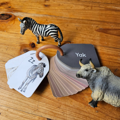 Flash Cards - Animal Alphabet - Ringed