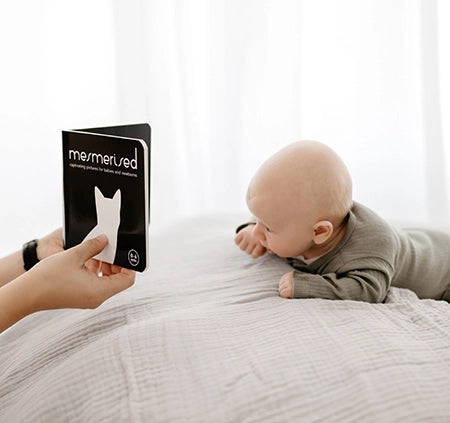 Black and White Baby Board Book