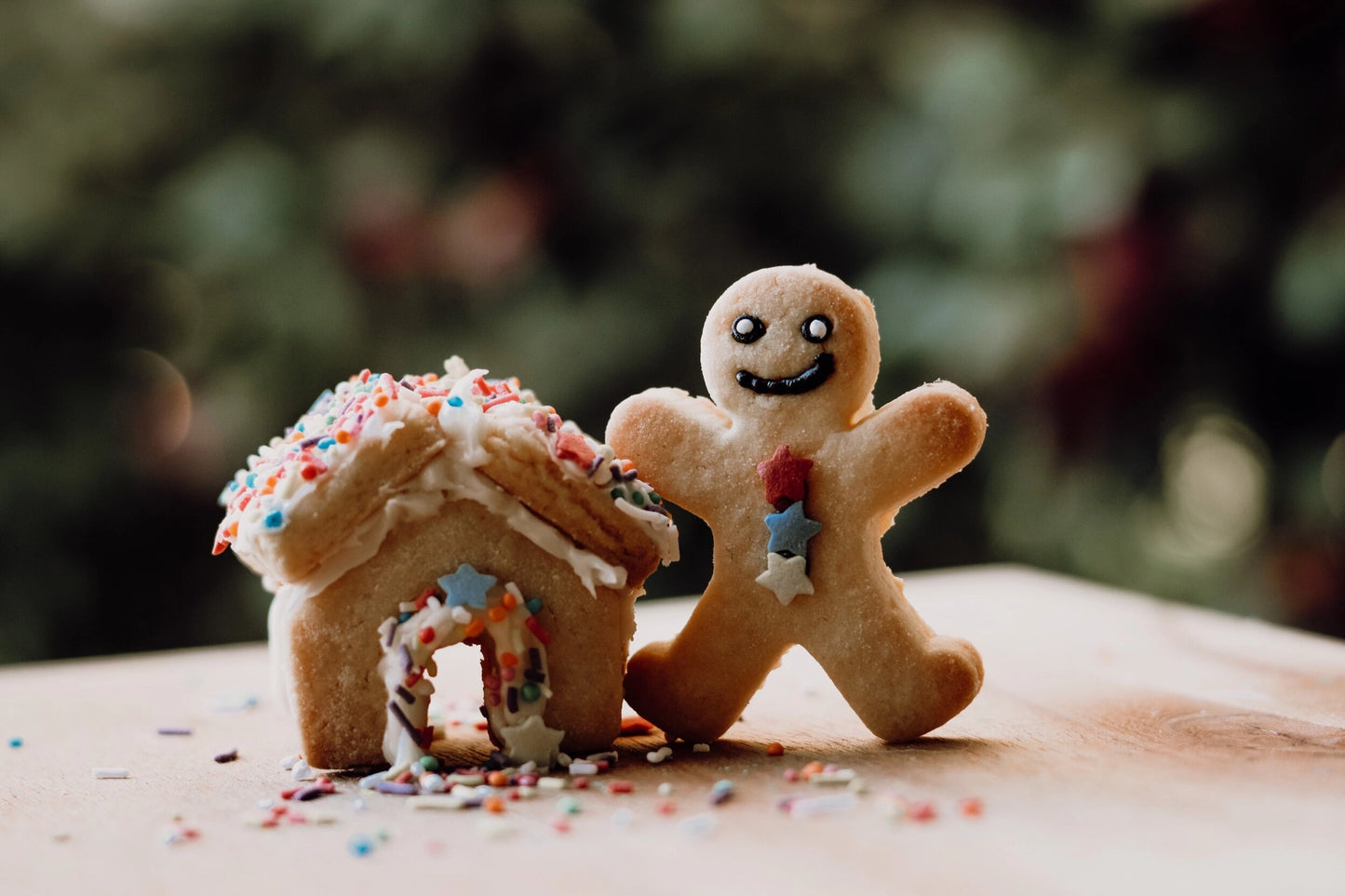 Eco Cutter Set - Christmas Gingerbread House