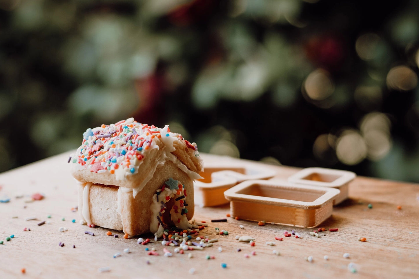 Eco Cutter Set - Christmas Gingerbread House