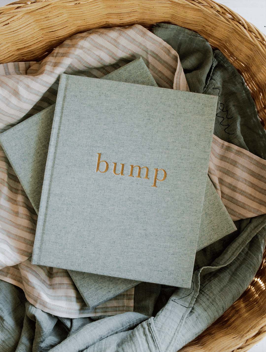 Bump - Pregnancy Journal - Seafoam