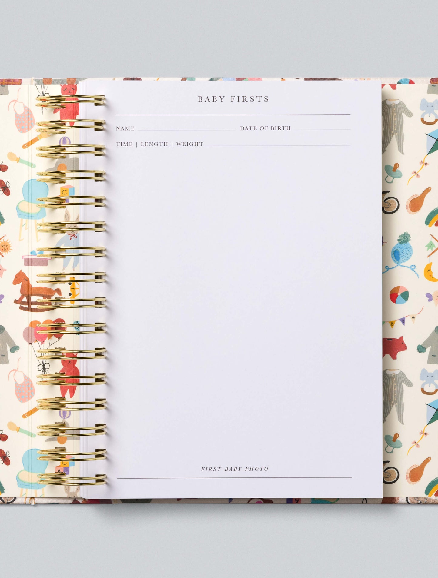 Baby Firsts - Journal