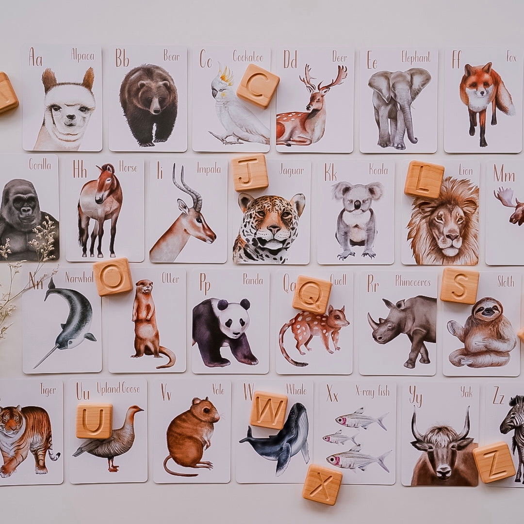 Flash Cards - Animal Alphabet