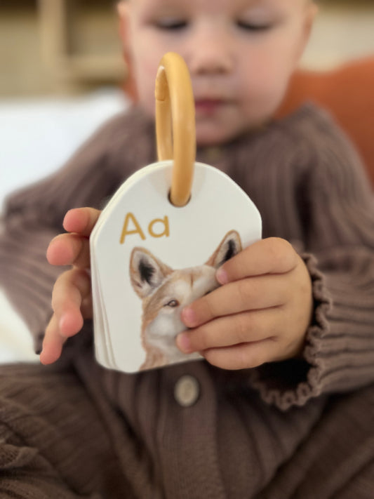 Flash Cards - Australian Animal Alphabet - Ringed