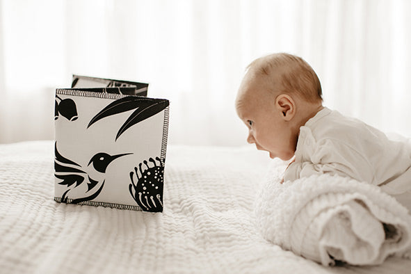 Wild Baby Organic Black and White Cloth Book