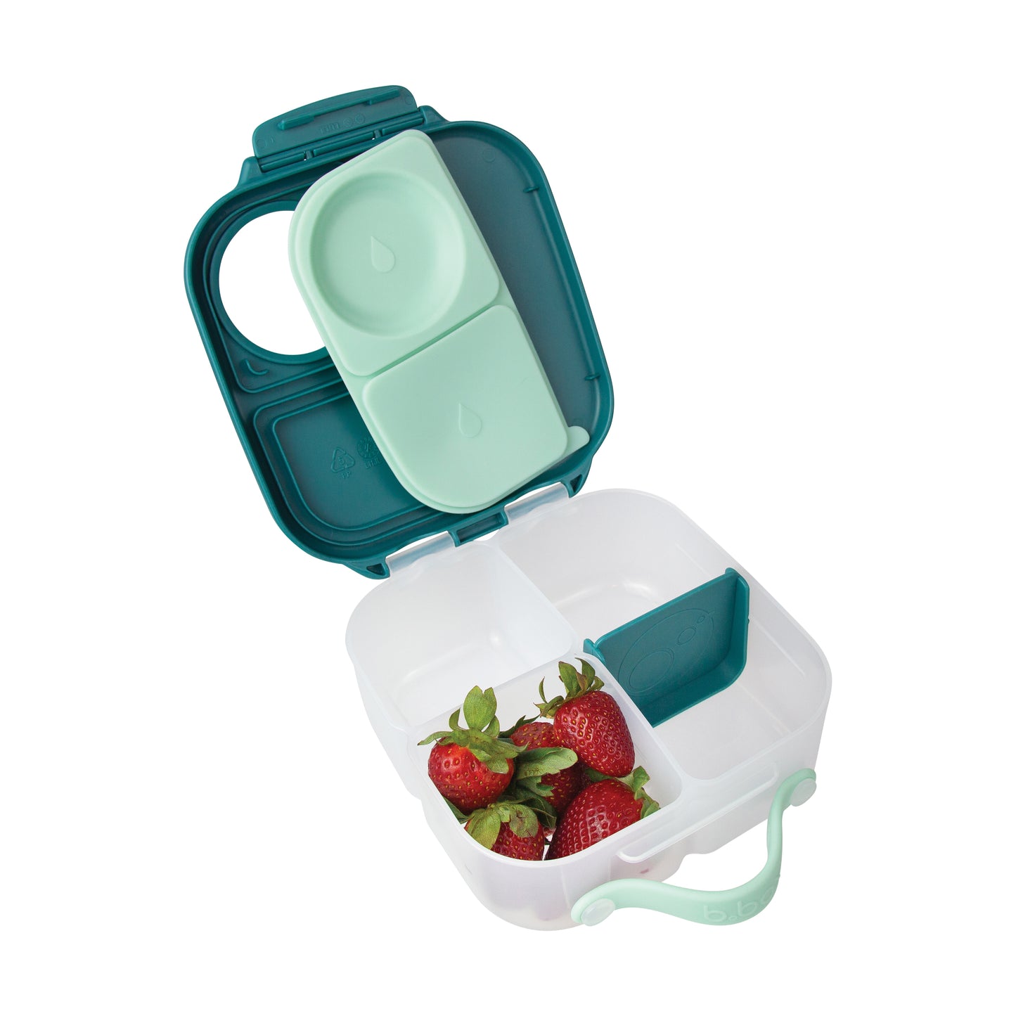 BBox Mini Lunchbox - Emerald Forest