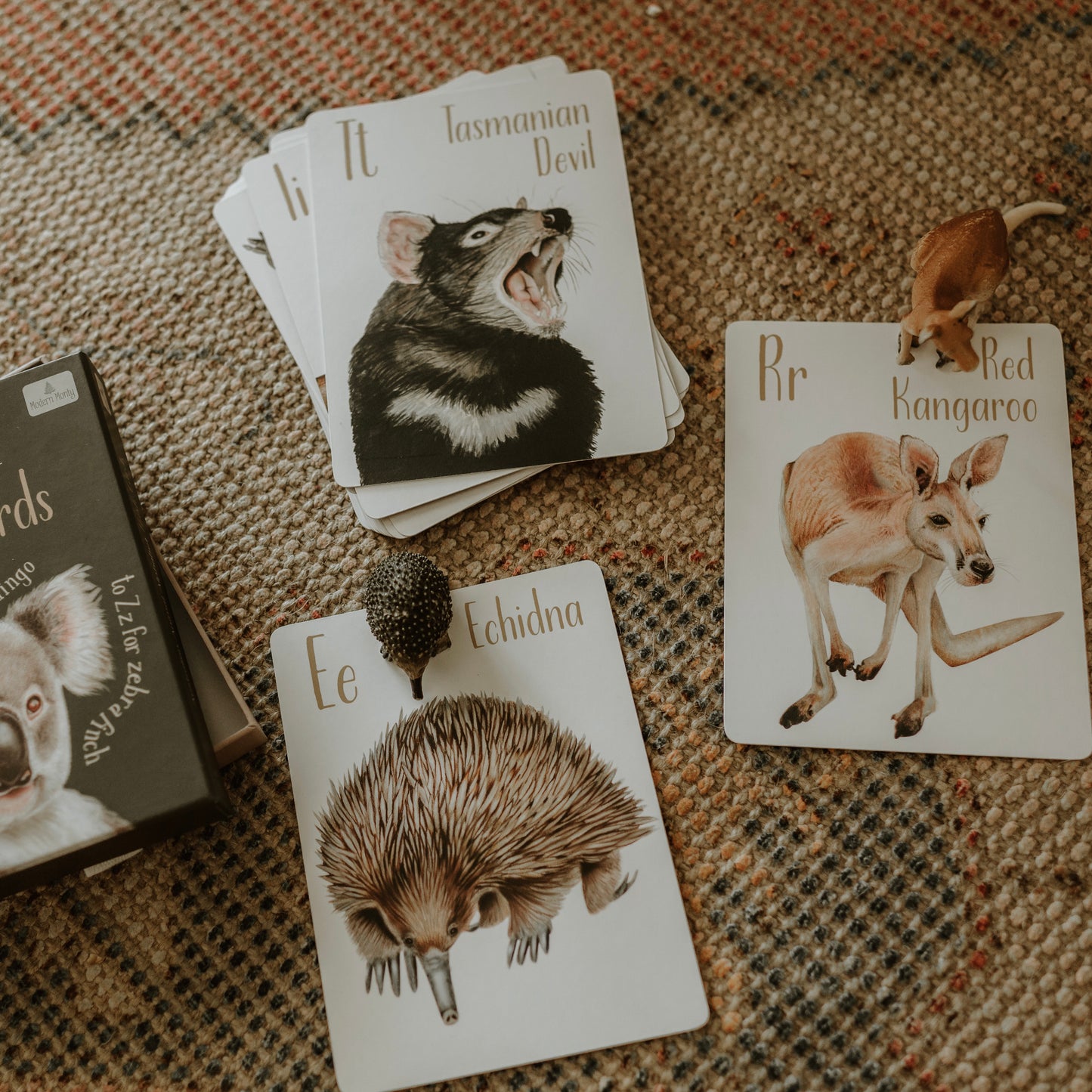 Flash Cards - Australian Animal Alphabet