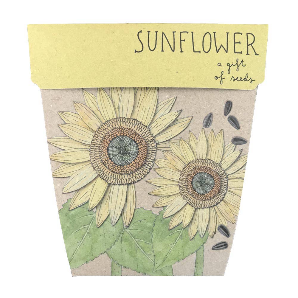 Sunflower Gift of Seeds