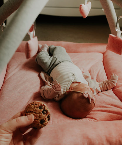 Lactation Cookies - Dark Choc Chip