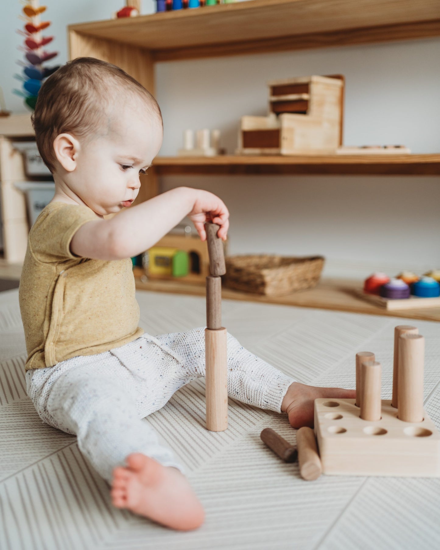 Wooden Peg Puzzle