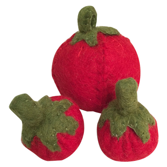 Felt Tomato Set