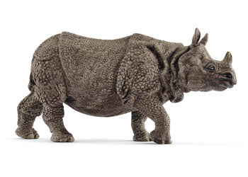 Indian Rhinoceros