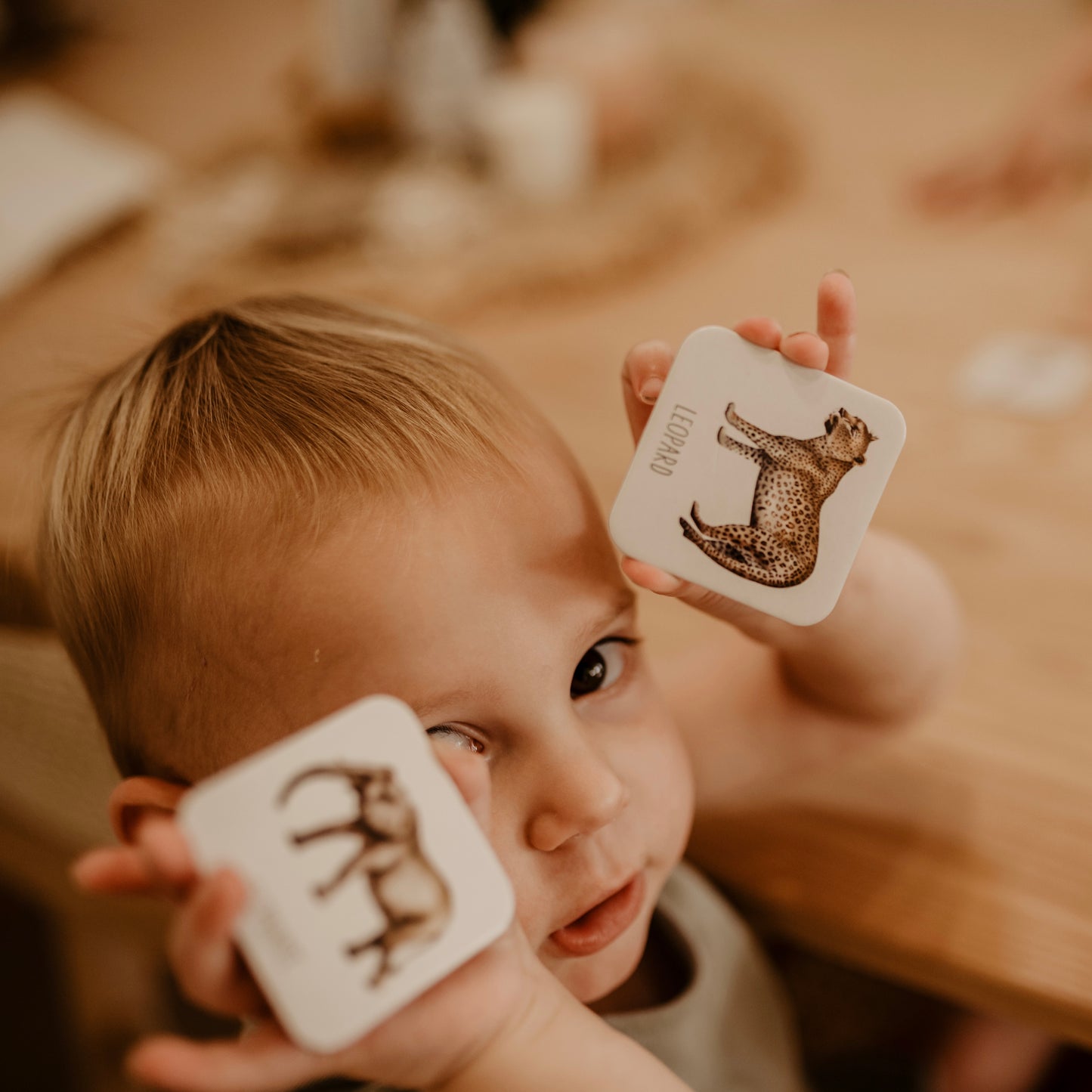 Memory Card Game - Africa