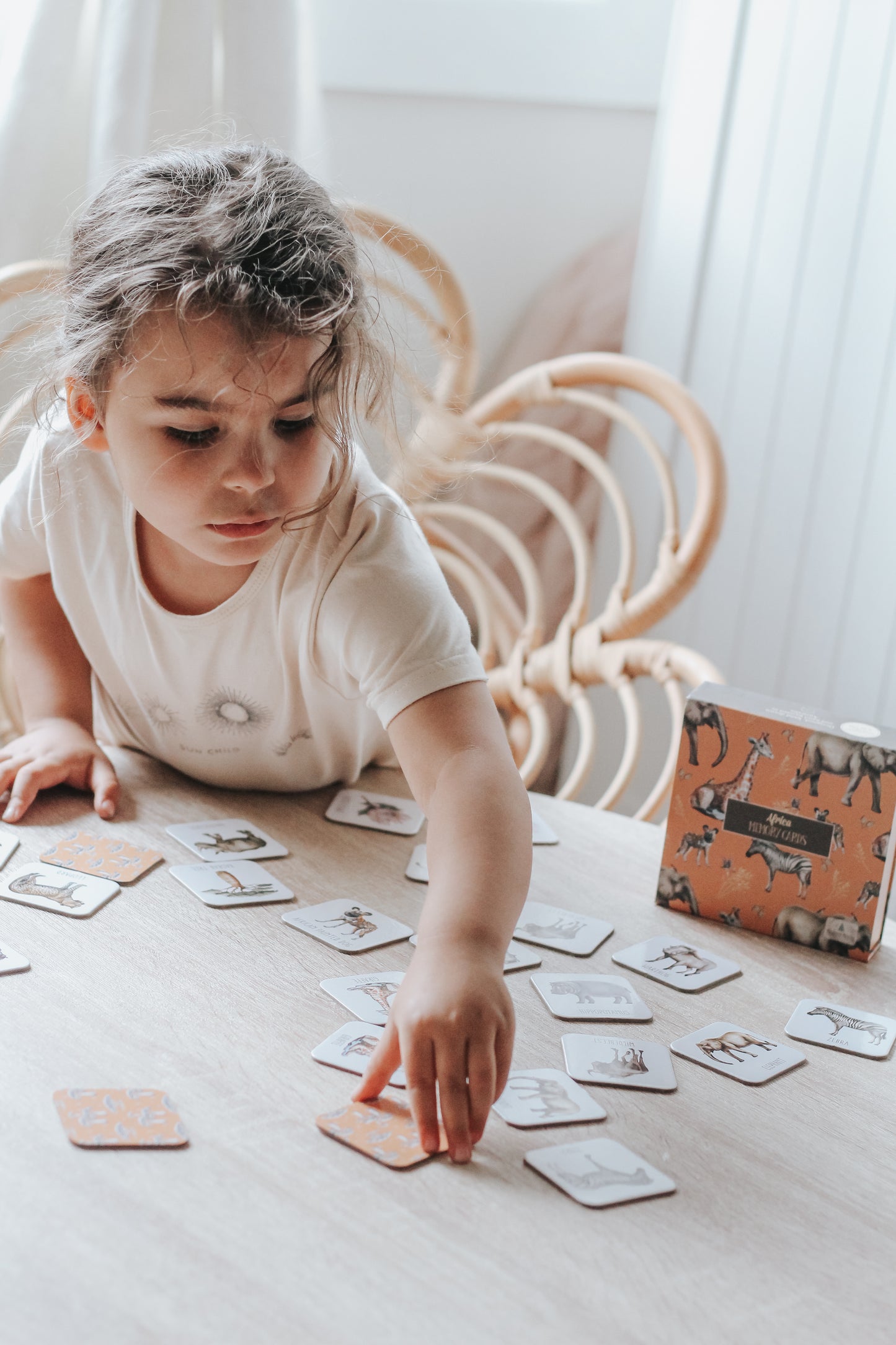 Memory Card Game - Africa