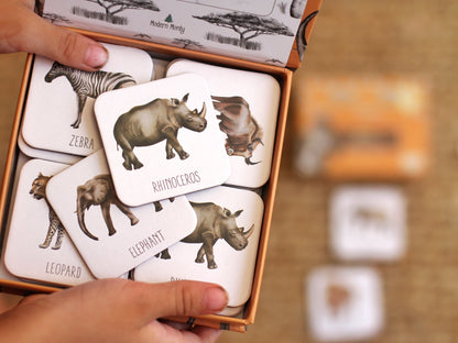 Memory Card Game - Africa