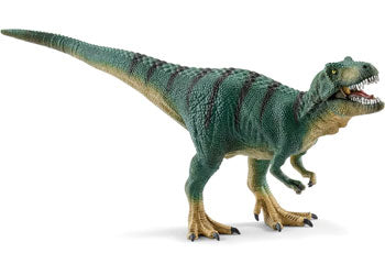 Tyrannosaurus Rex Juvenile